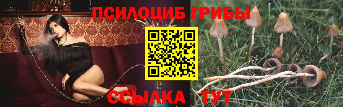 Ртищево  магазин продажи наркотиков  Вход с VPN  Галлюциногенные грибы Magic Shrooms  Галлюциногенные грибы мицелий 